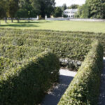 Ein sauber getrimmtes Heckenlabyrinth mit Kieswegen in einem Garten, umgeben von Gras und Bäumen, mit einem weißen Gebäude im Hintergrund.