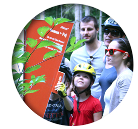 Eine Gruppe von Menschen, darunter ein Kind mit einem Fahrradhelm, liest zwischen Bäumen ein Informationsschild im Freien.