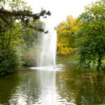 In der Mitte eines kleinen Teichs, der von grünen und gelben Bäumen umgeben ist, sprudelt eine große Wasserfontäne.
