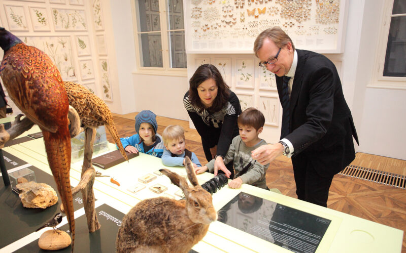 Eine Gruppe von Kindern und zwei Erwachsene betrachten Tierpräparate und interaktive Ausstellungsstücke in einem Naturkundemuseum.
