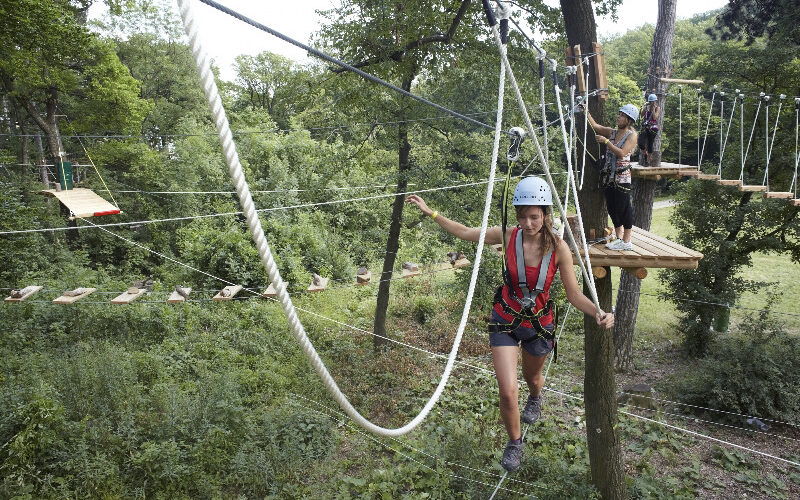 Menschen mit Helmen und Klettergurten navigieren durch einen Hochseilgarten im Wald und balancieren auf Hängebrücken und Seilen zwischen den Bäumen.