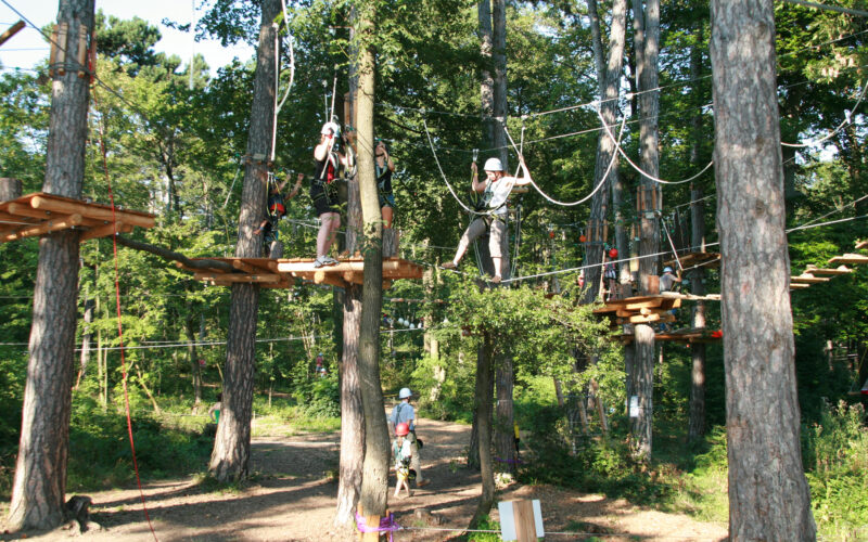 Die Teilnehmer tragen Helme und Klettergurte und navigieren über Seile und Plattformen in einem Baumkronenparcours zwischen hohen Bäumen in einem Waldgebiet.