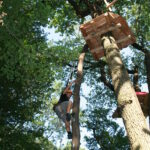 Eine Person klettert auf einer Strickleiter, die zwischen hohen Bäumen aufgehängt ist, auf eine Holzplattform in einem Waldabenteuerpark zu.