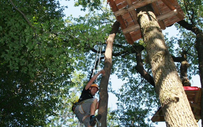 Eine Person klettert auf einer Strickleiter, die zwischen hohen Bäumen aufgehängt ist, auf eine Holzplattform in einem Waldabenteuerpark zu.