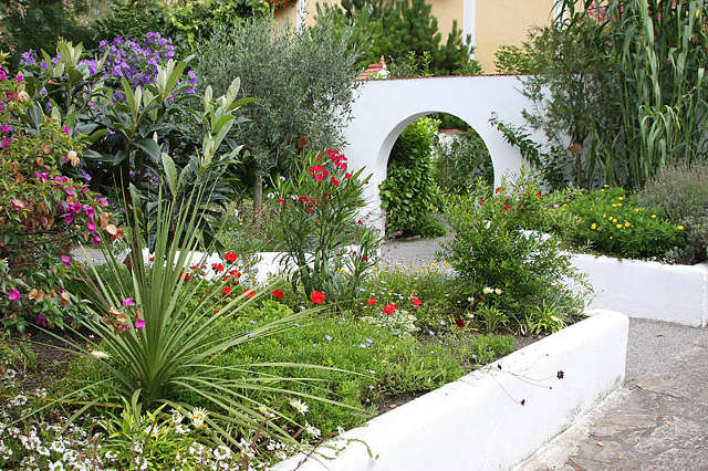 Ein Garten mit verschiedenen blühenden Pflanzen, grünen Sträuchern und einer weißen geschwungenen Mauer mit einem runden Ausschnitt in der Nähe eines gepflasterten Weges.