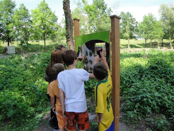 Eine Gruppe Kinder steht draußen, liest und zeigt auf ein Informationsschild, das von grünem Laub und Bäumen umgeben ist.