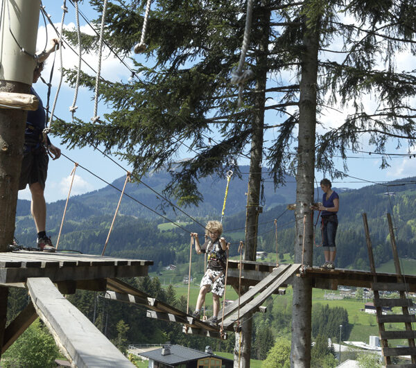 Drei Personen navigieren mithilfe von Gurten und Sicherheitsleinen durch einen Hochseilgarten, im Hintergrund ist eine Berglandschaft zu sehen.