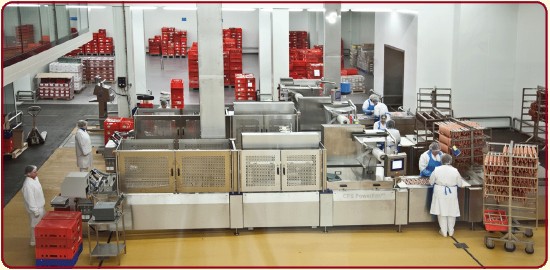 Arbeiter in weißen Uniformen und Haarnetzen bedienen Maschinen und handhaben Tabletts in einer sauberen, gut organisierten Lebensmittelverarbeitungsanlage, im Hintergrund sind rote Kisten gestapelt.