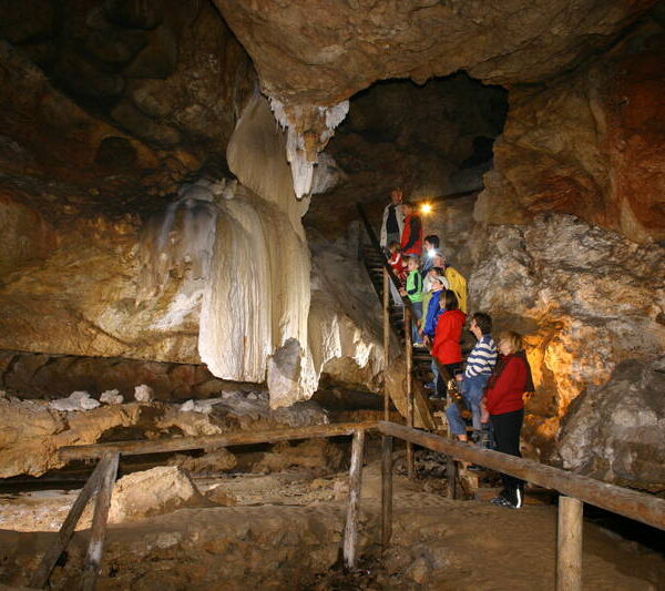 Eine Gruppe von Menschen steigt eine Holztreppe in einer Felsenhöhle mit Stalaktiten und künstlicher Beleuchtung hinauf.