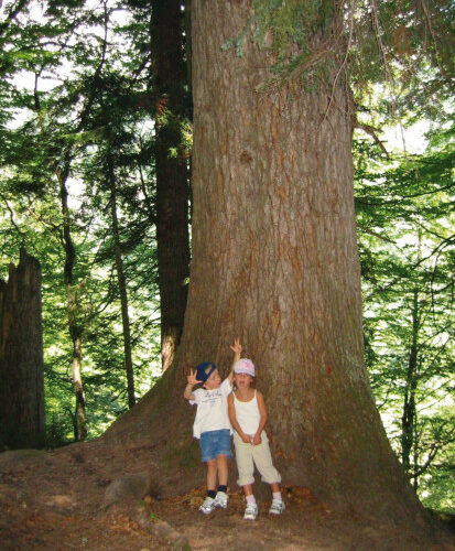 Zwei Kinder stehen am Fuß eines großen Baumes in einem Wald, posieren und machen mit ihren Fingern Friedenszeichen.