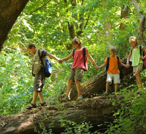 Vier Kinder mit Rucksäcken gehen in einer Reihe, halten sich an den Händen und balancieren auf einem umgestürzten Baumstamm in einem üppigen grünen Wald.