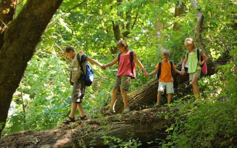 Vier Kinder mit Rucksäcken gehen in einer Reihe, halten sich an den Händen und balancieren auf einem umgestürzten Baumstamm in einem üppigen grünen Wald.