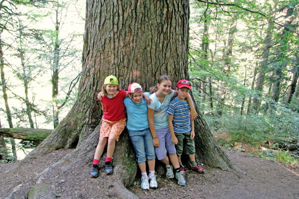 Vier Kinder stehen dicht beieinander vor einem großen Baumstamm in einem Wald und lächeln in die Kamera.