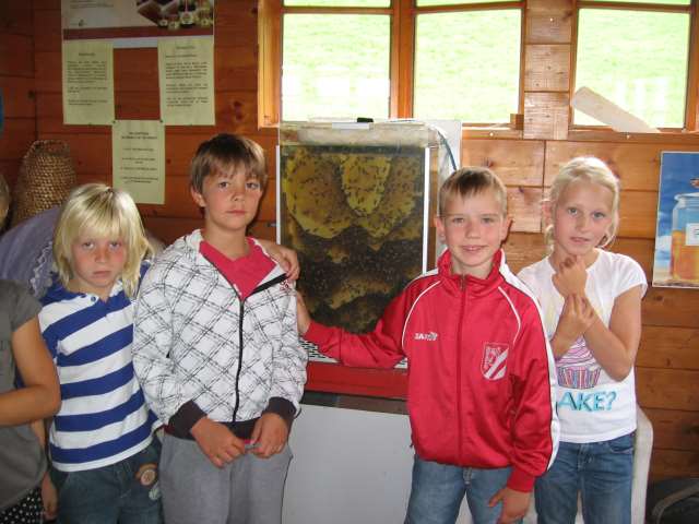 Vier Kinder stehen im Haus neben einer Glasvitrine mit einem Bienenstock, im Hintergrund sind Holzwände und Informationsplakate zu sehen.