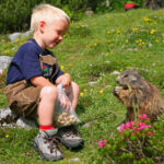 Ein kleines Kind sitzt im Gras und hält eine Tüte Erdnüsse in der Hand, während es ein Murmeltier beobachtet, das auf seinen Hinterbeinen auf einer Blumenwiese steht.