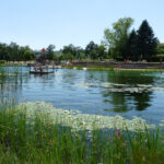 Menschen genießen einen sonnigen Tag an einem Teich mit Seerosenblättern, umgeben von Gras und Bäumen. Im Wasser sind ein kleiner Steg und ein Spielgerät zu sehen.
