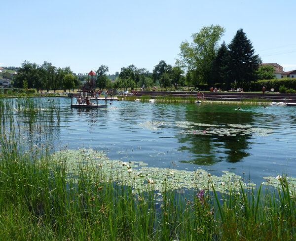 Menschen genießen einen sonnigen Tag an einem Teich mit Seerosenblättern, umgeben von Gras und Bäumen. Im Wasser sind ein kleiner Steg und ein Spielgerät zu sehen.