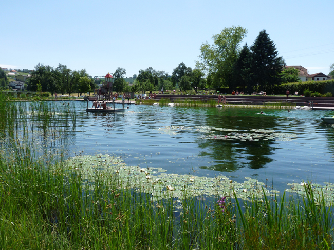 Menschen genießen einen sonnigen Tag an einem Teich mit Seerosenblättern, umgeben von Gras und Bäumen. Im Wasser sind ein kleiner Steg und ein Spielgerät zu sehen.