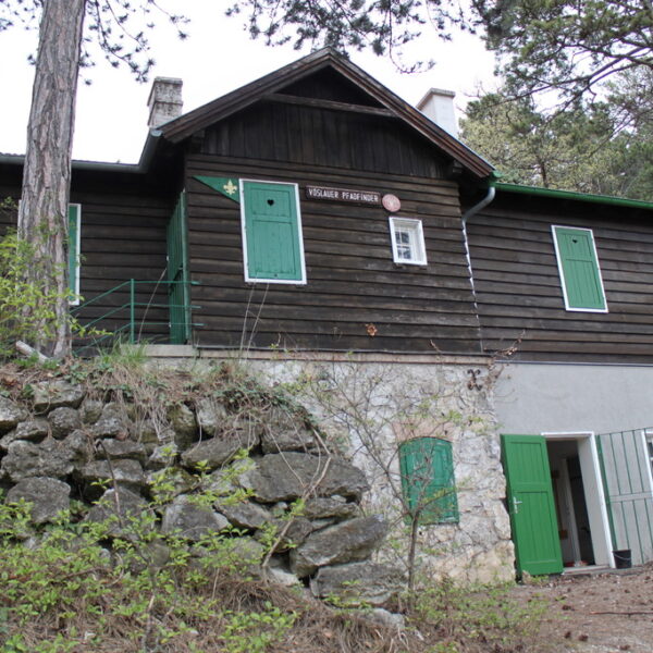 Ein rustikales, dunkelbraunes Holzhaus mit grünen Fensterläden und Türen steht auf einem Steinfundament, umgeben von Bäumen und Grünpflanzen.