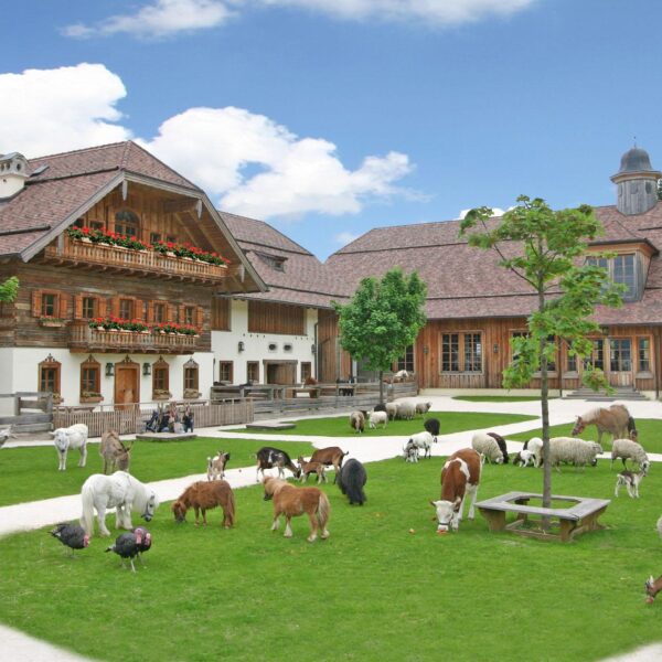 Bauernhof mit verschiedenen Tieren, darunter Ziegen, Schafe, Ponys, Alpakas, Truthähne und Enten, die auf grünem Gras vor Holzgebäuden unter blauem Himmel grasen.