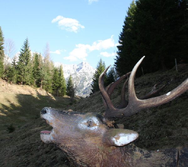 Eine verwitterte Hirschstatue mit großem Geweih steht auf einem grasbewachsenen Hügel mit Kiefern und Bergen im Hintergrund.