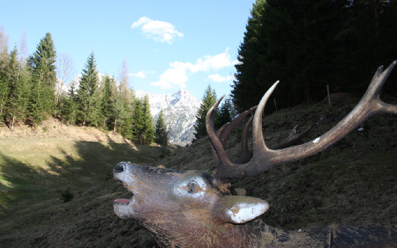 Eine verwitterte Hirschstatue mit großem Geweih steht auf einem grasbewachsenen Hügel mit Kiefern und Bergen im Hintergrund.