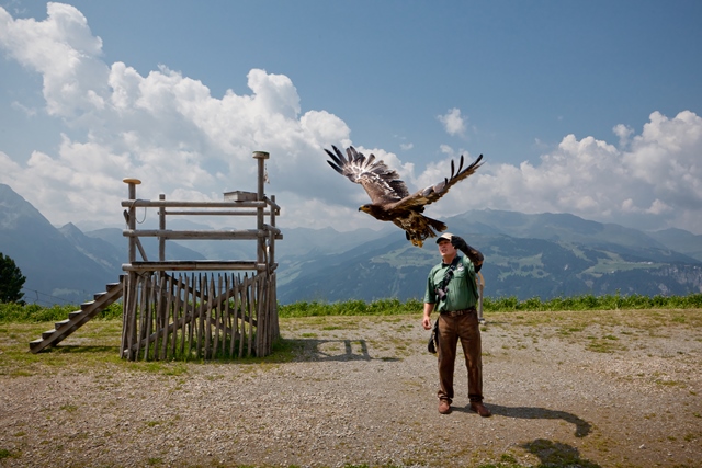 Ein Mann steht im Freien mit Bergen im Hintergrund, während ein großer Raubvogel, wahrscheinlich ein Adler, aus seiner behandschuhten Hand in der Nähe einer Holzkonstruktion fliegt.