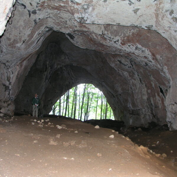 Eine Person steht in einer großen, felsigen Höhle mit einer weit gewölbten Öffnung, durch die Bäume und Tageslicht nach draußen fallen.