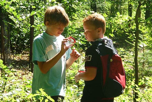 Zwei Jungen stehen in einem sonnenbeschienenen Wald. Der eine hält eine Lupe in der Hand und untersucht einen Gegenstand, während der andere, der einen Rucksack trägt, zusieht.