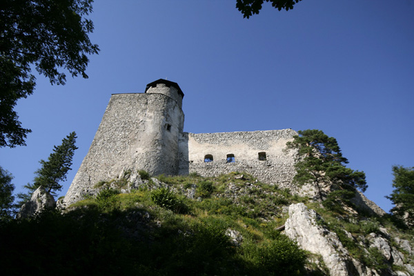 Die steinerne Burgruine liegt auf einem felsigen, grasbewachsenen Hügel unter einem strahlend blauen Himmel, umgeben von Bäumen.