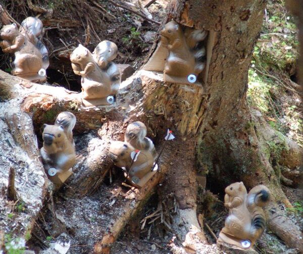 In einem Waldgebiet sind an Baumstämmen und Baumstämmen mehrere Zielscheiben in Form von Eichhörnchen angebracht.