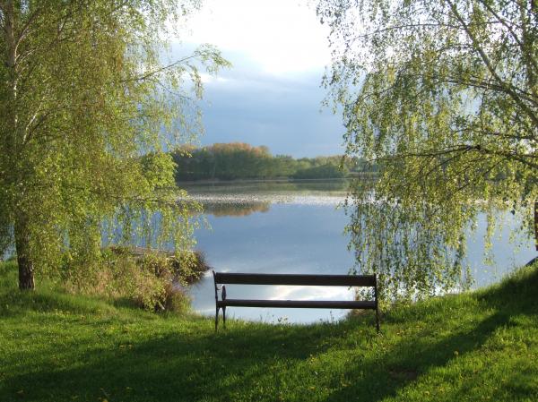 Eine Holzbank steht auf grünem Gras mit Blick auf einen ruhigen See, umgeben von grünen Bäumen und einem teilweise bewölkten Himmel.