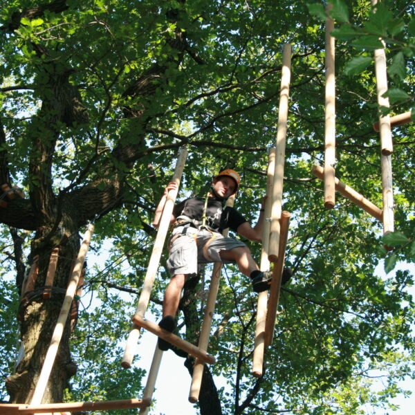 Eine Person, die einen Helm und einen Klettergurt trägt, klettert auf eine hängende Holzleiter in einem von grünen Blättern umgebenen Baumkronen-Abenteuerpark.