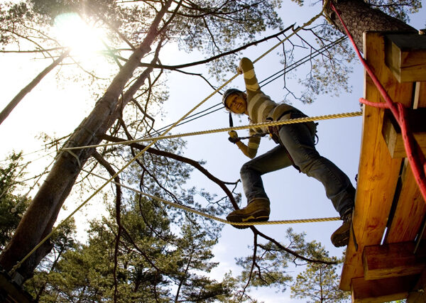 Eine Person, die einen Helm und einen Klettergurt trägt, läuft auf Seilen zwischen Bäumen in einem Outdoor-Abenteuerpark, wobei das Sonnenlicht durch die Äste sichtbar ist.