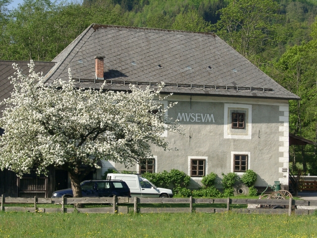 Ein graues Gebäude mit der Aufschrift "MUSEUM", davor ein blühender Baum, ein geparktes Auto und ein Lieferwagen sowie ein Holzzaun auf einer Wiese.