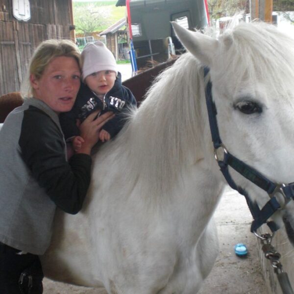 Ein Erwachsener hält ein Baby auf dem Rücken eines weißen Pferdes mit blauem Halfter, das in einem Stallbereich steht.