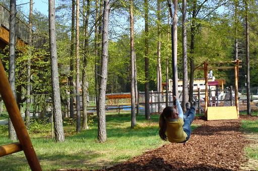 Eine Person mit langen Haaren fährt an einem sonnigen Tag mit einer Seilrutsche durch ein bewaldetes Gebiet mit grünem Gras und Bäumen.