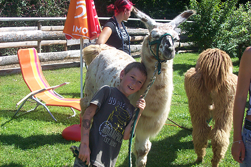 Ein kleiner Junge steht lächelnd und ein Lama umarmend auf einem grasbewachsenen Rasen, mit einem anderen Lama und Erwachsenen in der Nähe. Im Hintergrund sind ein orangefarbener Liegestuhl und ein Sonnenschirm zu sehen.