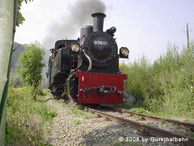 Eine schwarze Dampflokomotive mit der Nummer 89801 fährt auf einer schmalen, von Grünanlagen umgebenen Bahnstrecke.