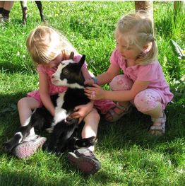 Zwei junge Mädchen sitzen im Gras und streicheln eine schwarz-weiße Babyziege.