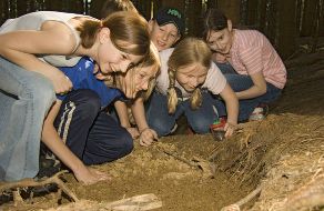 Fünf Kinder hocken auf dem Waldboden und untersuchen interessiert etwas im Dreck.