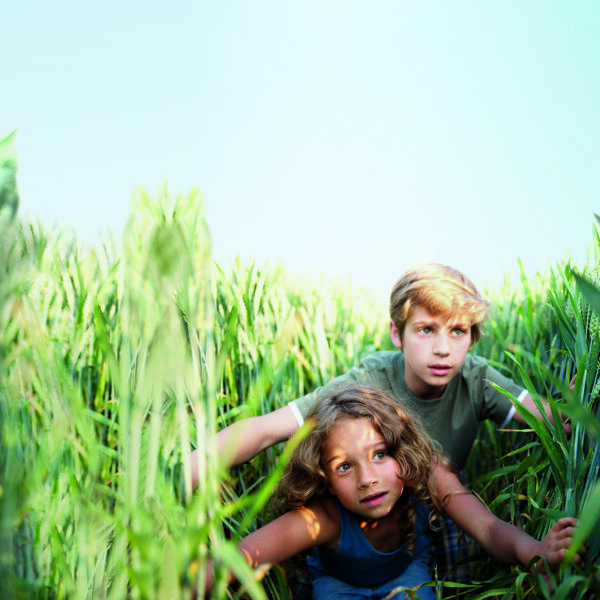 Zwei Kinder, ein Junge und ein Mädchen, kauern eng beieinander inmitten hoher grüner Weizenpflanzen und blicken mit ernster Miene unter einem klaren blauen Himmel nach vorn.