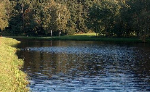Ein ruhiger Fluss schlängelt sich durch eine von Bäumen gesäumte Wiese, und die Bäume spiegeln sich im Wasser.