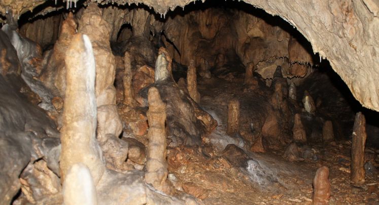 Das Innere einer Höhle mit mehreren Stalagmiten, die aus dem felsigen Boden ragen, und Stalaktiten, die von der Decke hängen.