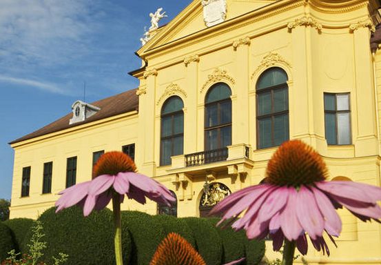 Gelbes historisches Gebäude mit gewölbten Fenstern und ornamentalen Details, hinter blühenden violetten Sonnenhutblumen und gepflegten Hecken zu sehen.