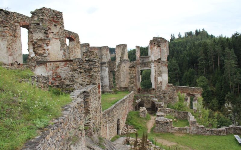 Ruinen einer alten Steinburg mit teilweise noch stehenden Mauern und Bögen, umgeben von Grün und Wald im Hintergrund.