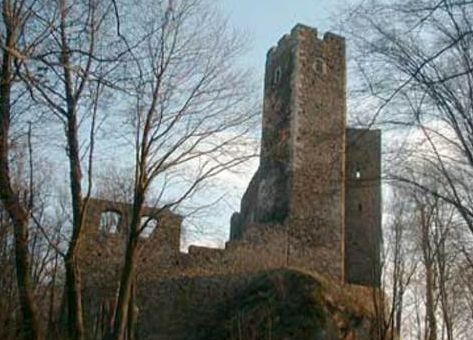 Ruinen einer Steinburg mit einem hohen Turm, umgeben von blattlosen Bäumen auf einem Hügel, unter einem teilweise bewölkten Himmel.