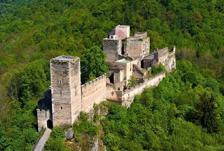 Luftaufnahme einer alten steinernen Burgruine, umgeben von dichtem grünen Wald, mit hohen Türmen und teilweise eingestürzten Mauern.