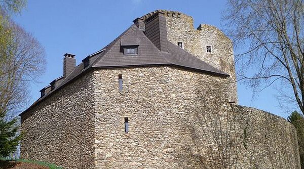 Eine mittelalterliche Steinburg mit schrägen dunklen Dächern und Mauern mit Türmen, umgeben von Bäumen unter einem klaren blauen Himmel.