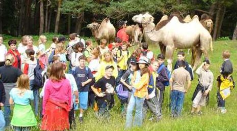 Eine große Gruppe von Kindern und Erwachsenen steht auf einer Wiese in der Nähe mehrerer Kamele, im Hintergrund sind Bäume zu sehen.